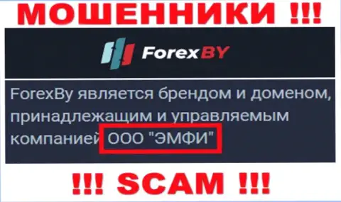 На официальном сервисе Forex BY говорится, что указанной организацией управляет ООО ЭМФИ