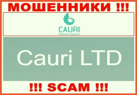 Не стоит вестись на сведения о существовании юридического лица, Каури - Cauri LTD, в любом случае сольют