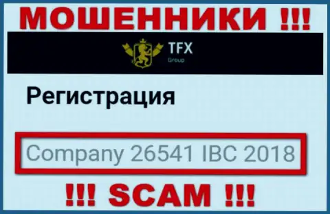 Номер регистрации, принадлежащий преступно действующей организации TFX-Group Com - 26541 IBC 2018