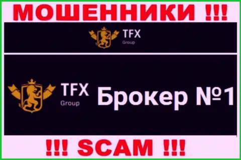 Не нужно доверять вложенные деньги TFX Group, ведь их область деятельности, Forex, ловушка