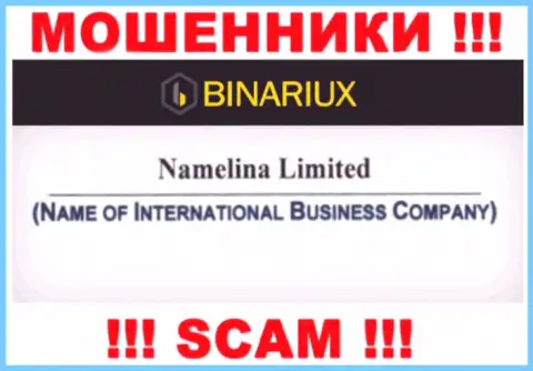 Binariux Net - это интернет-мошенники, а руководит ими Namelina Limited
