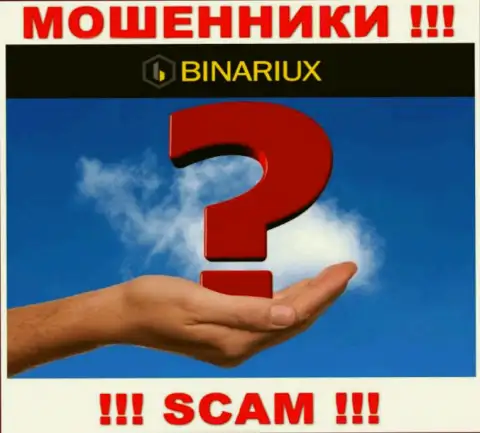 Руководство Binariux Net старательно скрыто от internet-сообщества