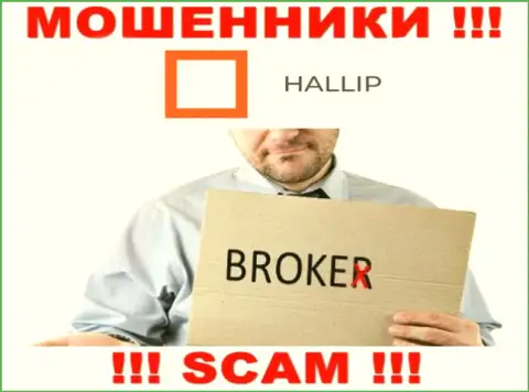 Направление деятельности мошенников Hallip Com - это Брокер, однако помните это кидалово !!!