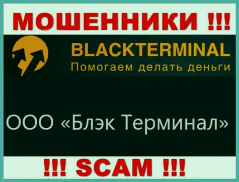 На официальном сайте BlackTerminal написано, что юр лицо конторы - ООО Блэк Терминал