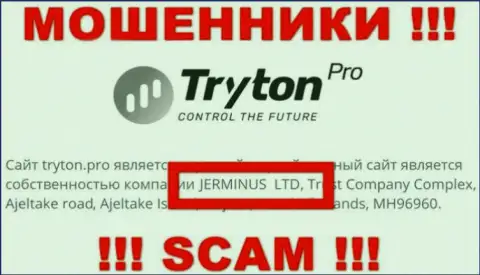 Сведения о юр лице Tryton Pro - это компания Jerminus LTD