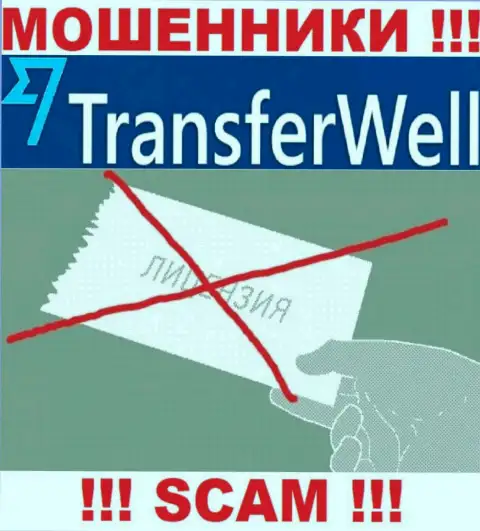 Вы не сумеете найти информацию о лицензии махинаторов TransferWell Net, так как они ее не имеют