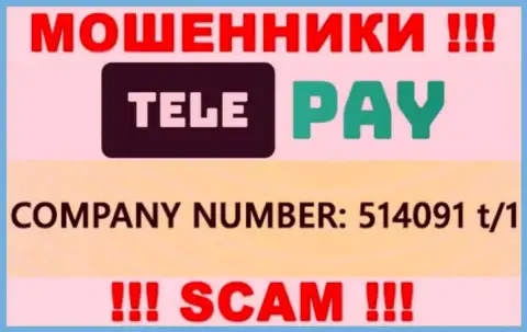 Номер регистрации Теле-Пэй Пв, который размещен обманщиками на их сервисе: 514091 t/1