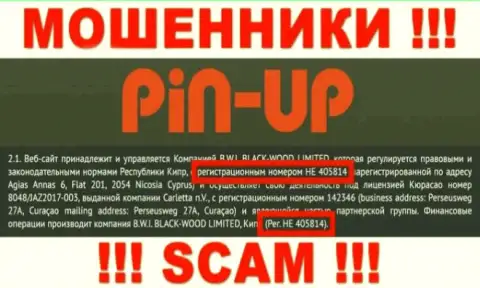 Номер регистрации очередных мошенников глобальной интернет сети компании Pin Up Casino: HE 405814