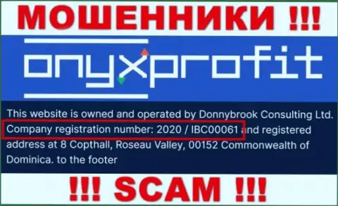 Номер регистрации, который присвоен компании Onyx Profit - 2020 / IBC00061