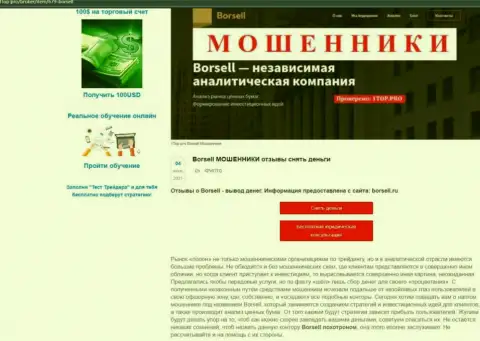 Обзор деятельности scam-компании Borsell Ru - это ВОРЮГИ !!!