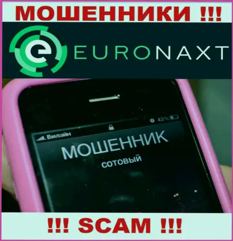 Вас намереваются раскрутить на деньги, EuroNax в поиске очередных наивных людей