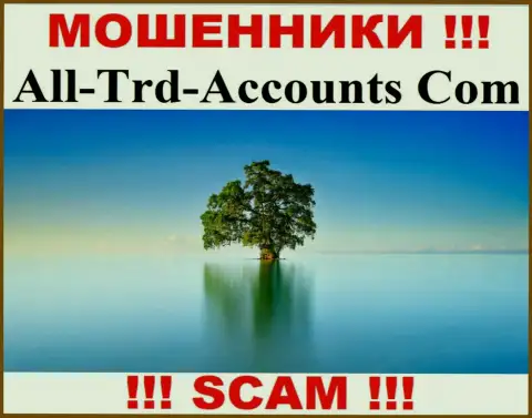 All-Trd-Accounts Com крадут вложенные деньги и выходят сухими из воды - они спрятали инфу об юрисдикции