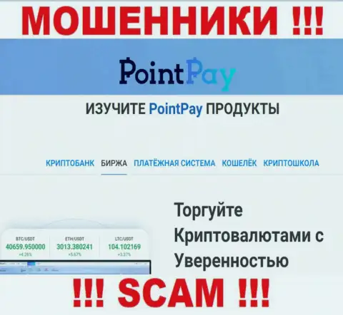 Поскольку деятельность internet мошенников PointPay Io - это обман, лучше сотрудничества с ними избежать