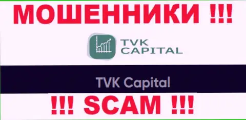 TVK Capital - это юр. лицо интернет-ворюг ТВК Капитал