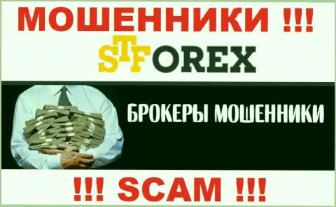 Обманщики STForex только задуривают мозги биржевым трейдерам, рассказывая про нереальную прибыль