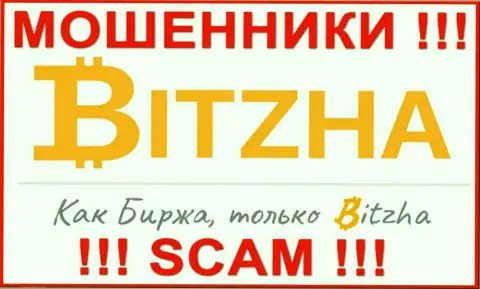 Bitzha - это ОБМАНЩИКИ !!! Финансовые вложения назад не возвращают !!!