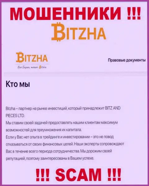 Bitzha 24 - это коварные интернет лохотронщики, направление деятельности которых - Investing