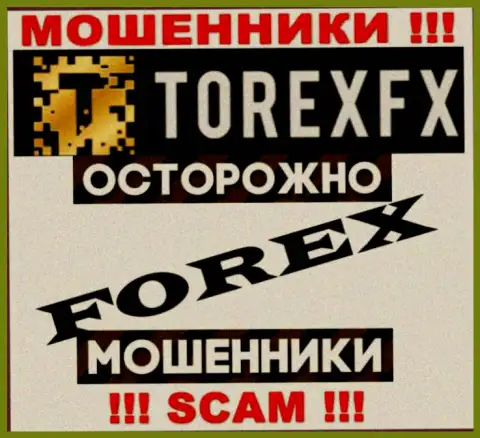 Тип деятельности Торекс ФХ 42 Маркетинг Лимитед: Форекс - хороший доход для internet мошенников