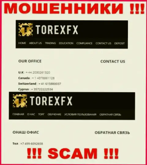 В запасе у шулеров из организации TorexFX 42 Marketing Limited есть не один номер телефона
